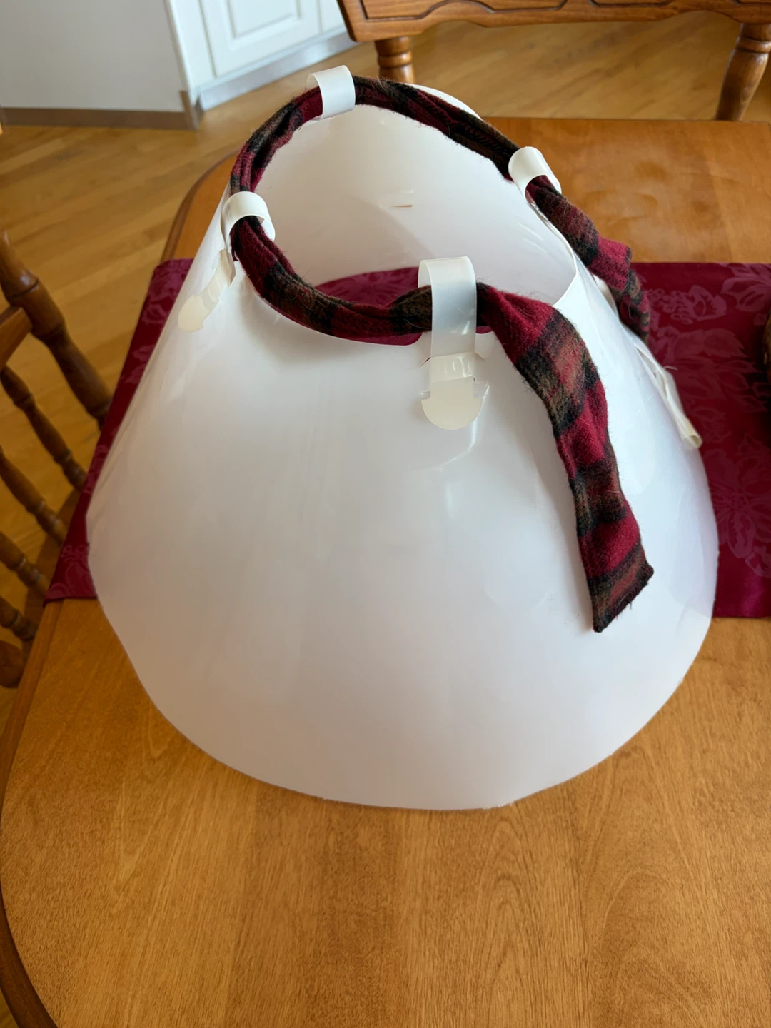 Pet Recovery Collar