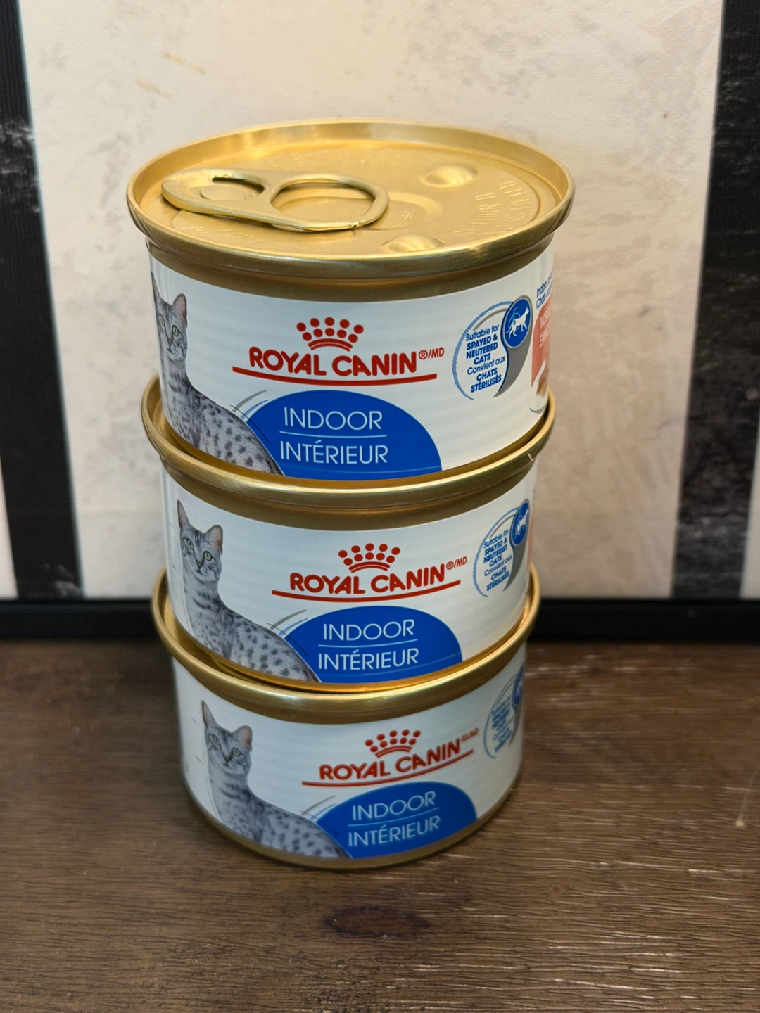 Cans of Royal Canin Indoor Adult Cat Food - photo 2