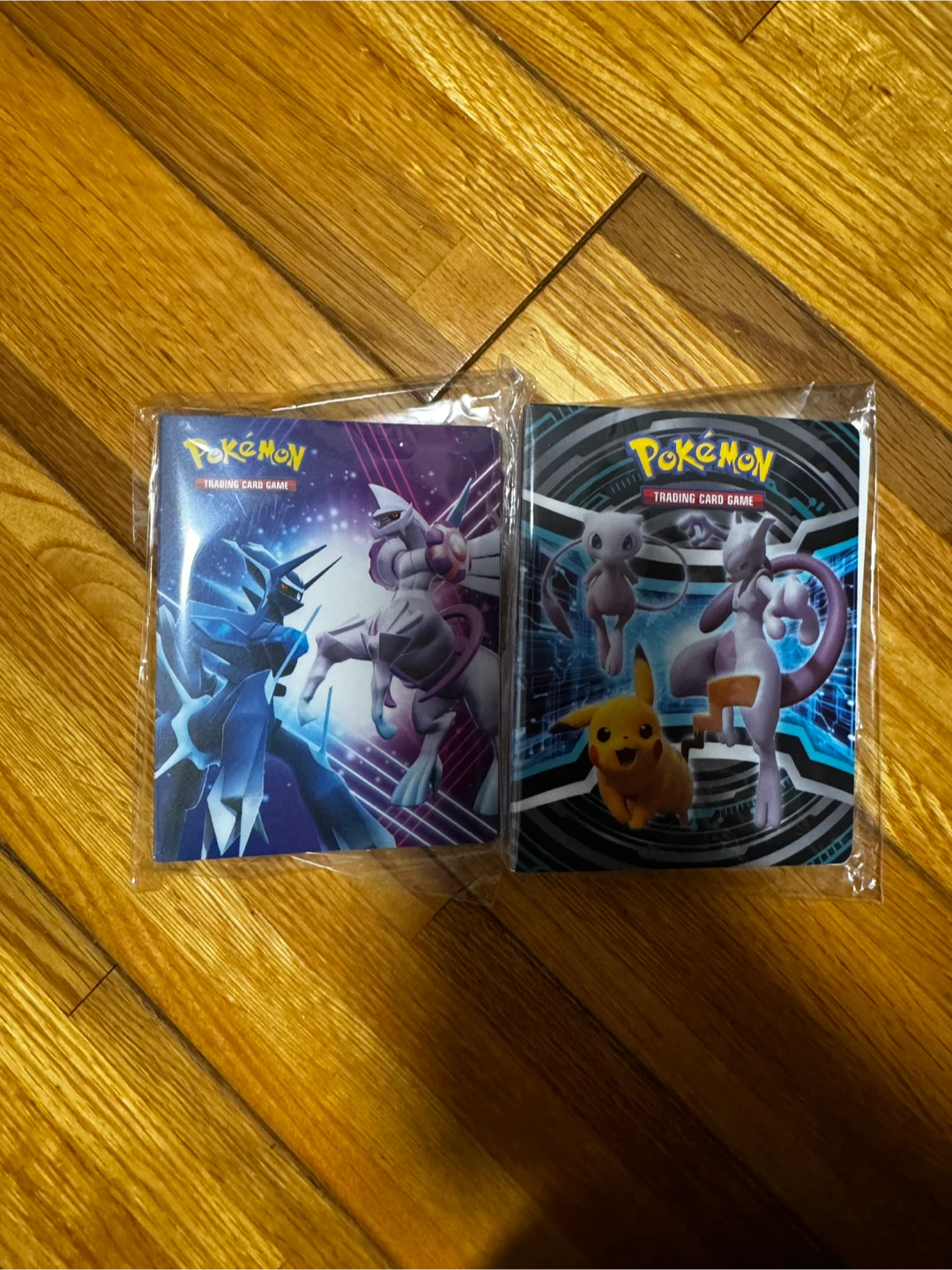 Pokemon sleeve album