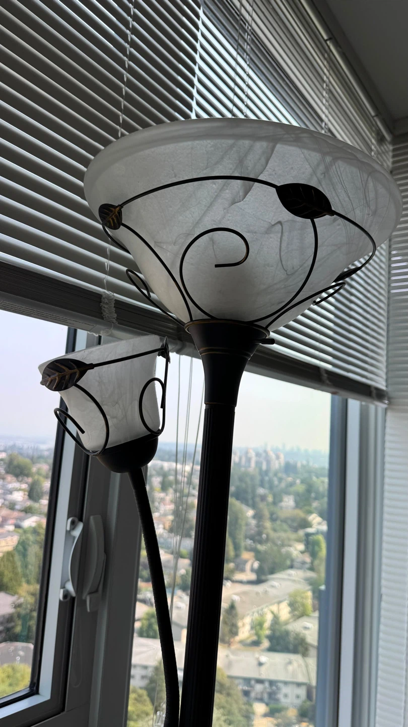 Black Metal Floor Lamp with Two Lights
