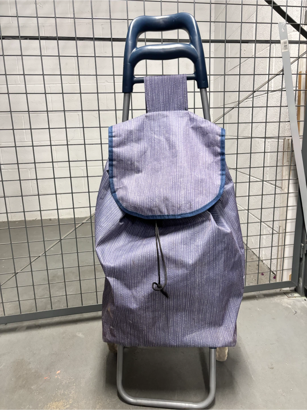 Rolling Shopping Cart