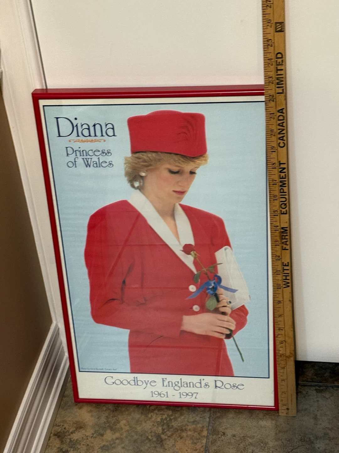 Framed Diana, Princess of Wales Poster