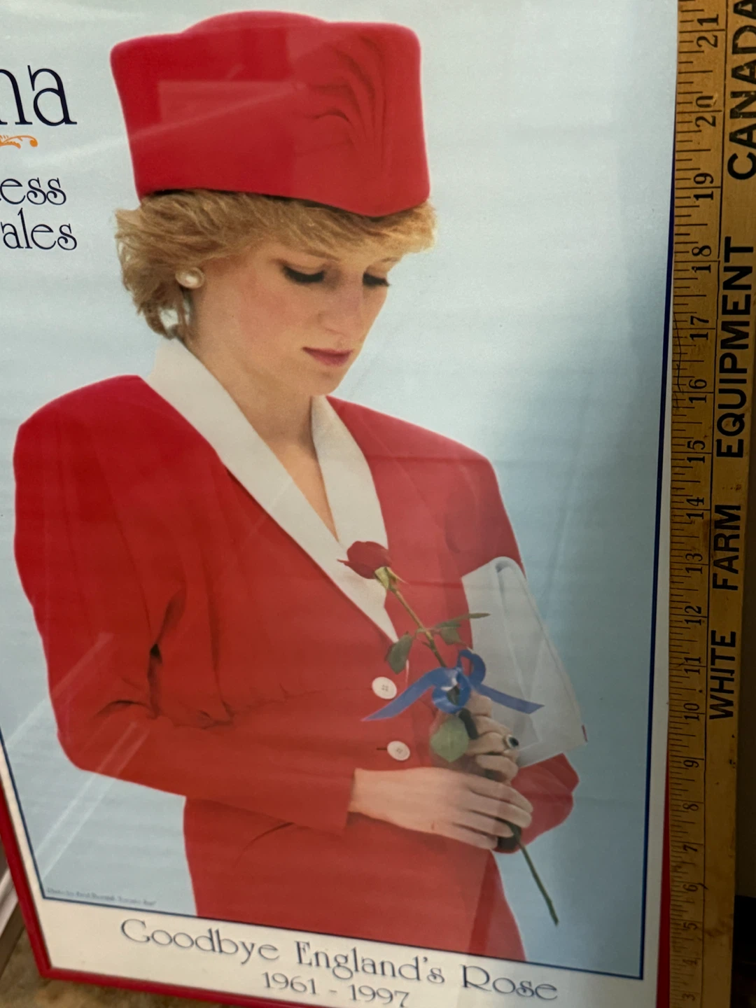 Framed Diana, Princess of Wales Poster - photo 2