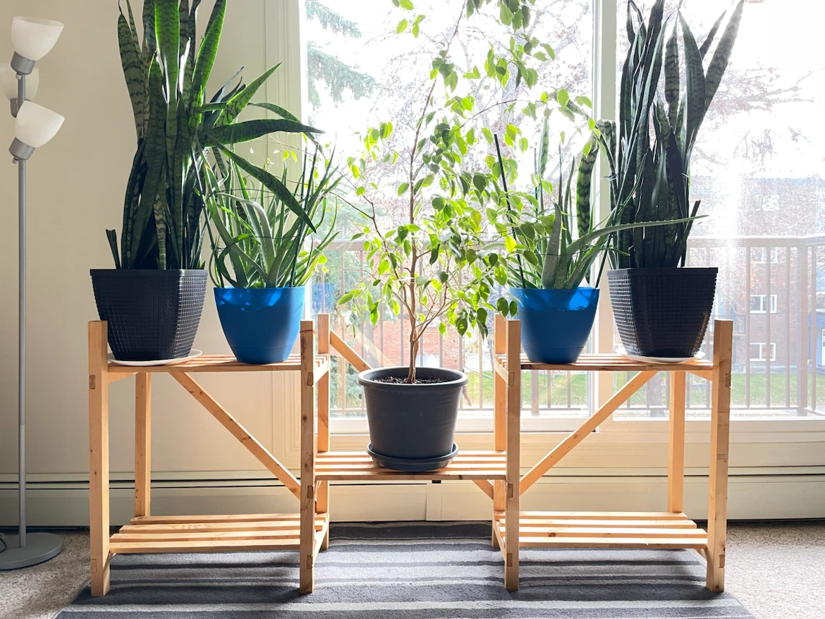 Wooden Multi-Tiered Plant Stand - photo 3