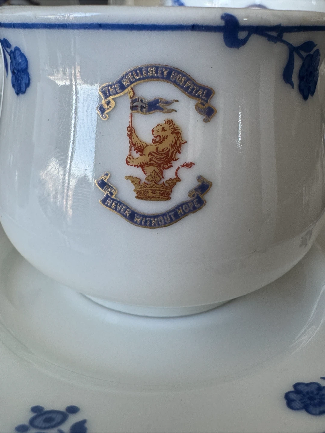 The Wellesley Hospital Limoges Porcelain Set