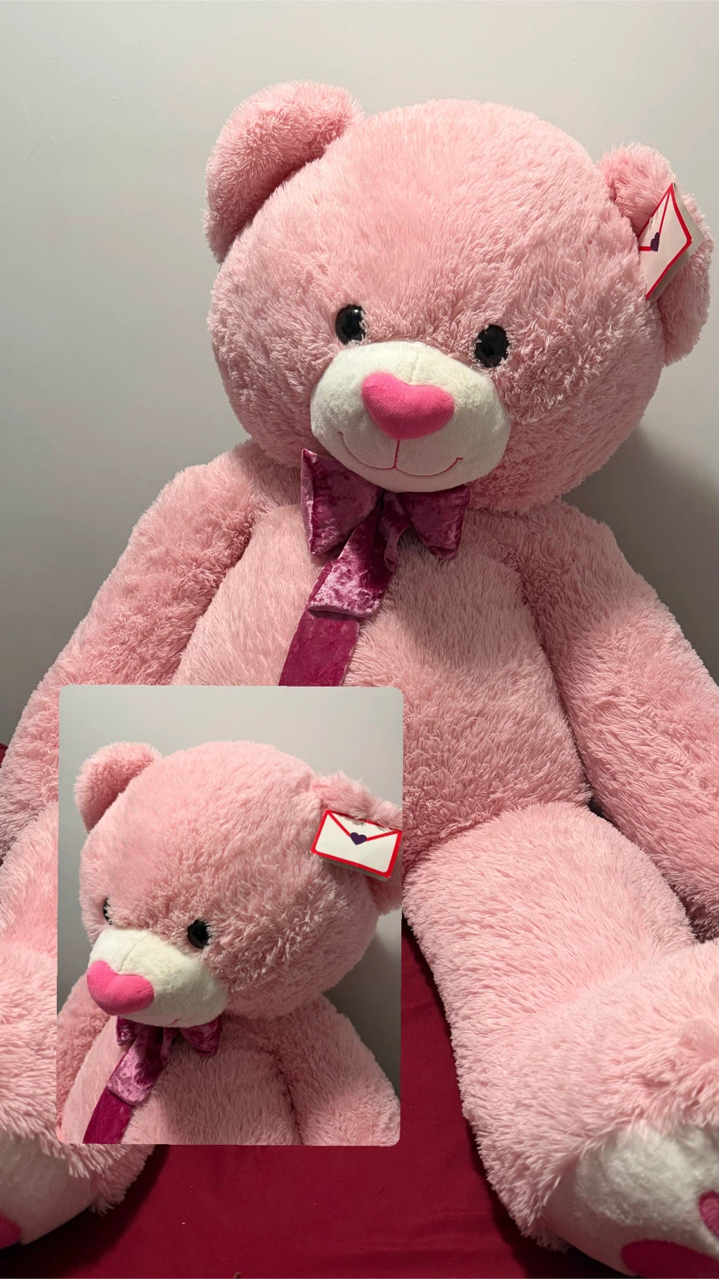 Large Pink Plush Teddy Bear