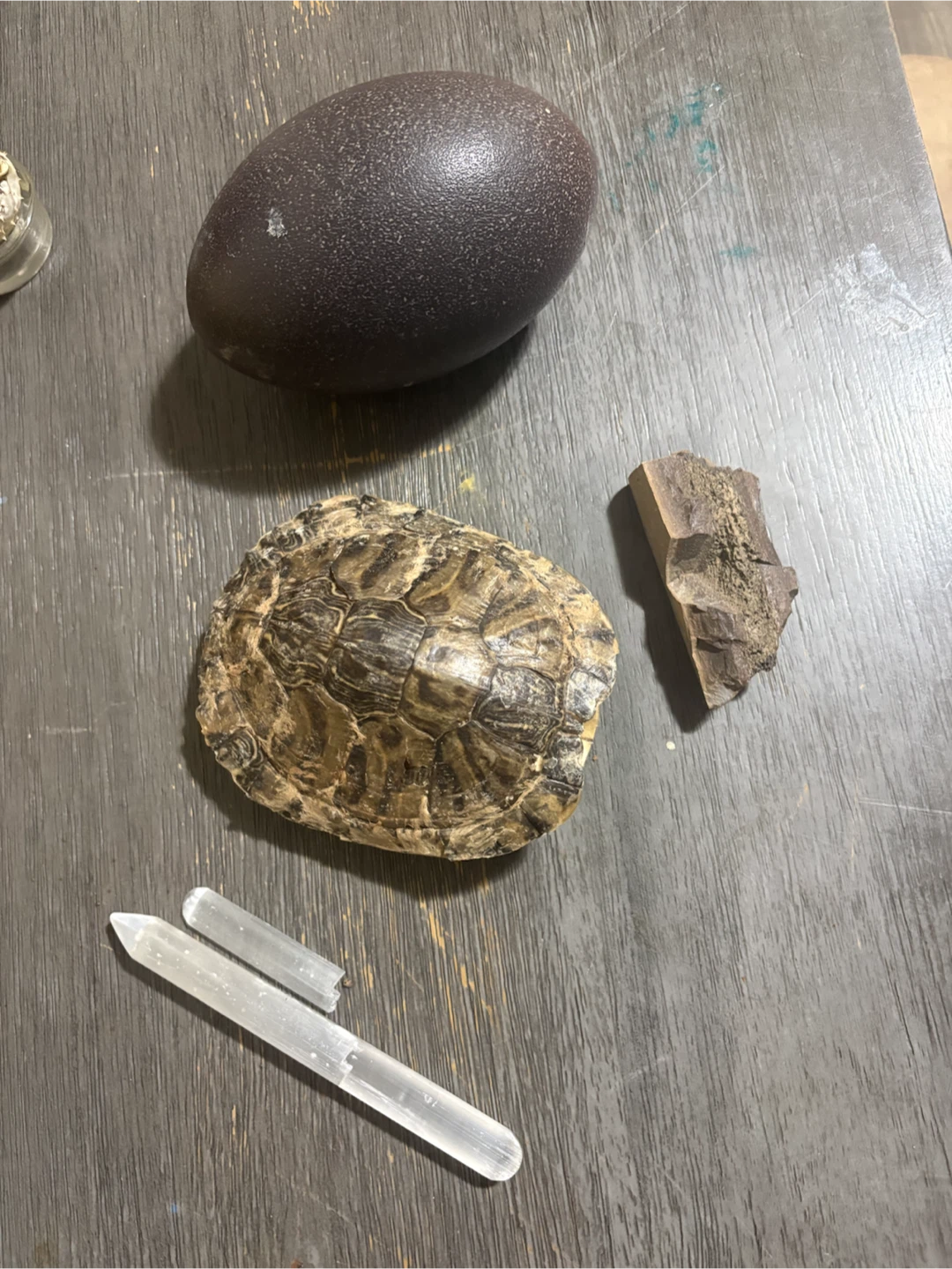 Natural Collection - Selenite, Shell, Egg, Rock