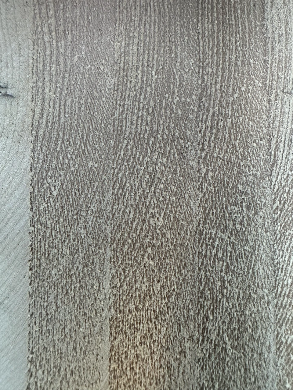 Yellow Cedar. - photo 3