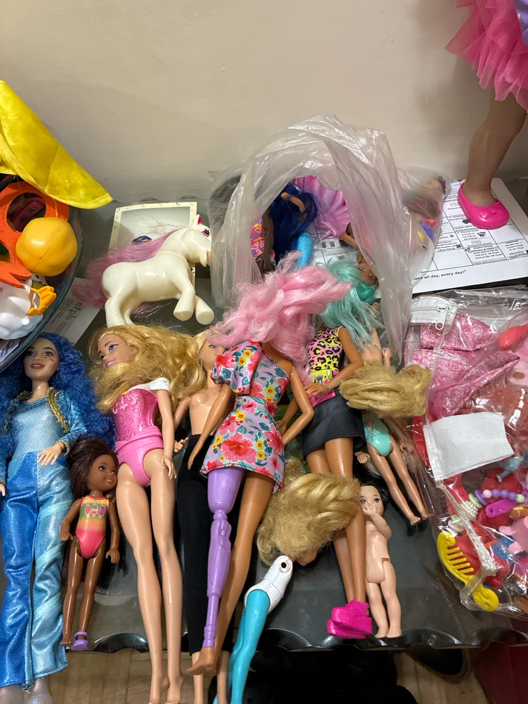 Barbie Doll Collection and Accessories Bundle