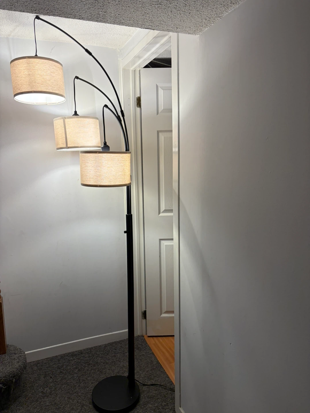 3-Light Dimmable Arc Floor Lamp - photo 3