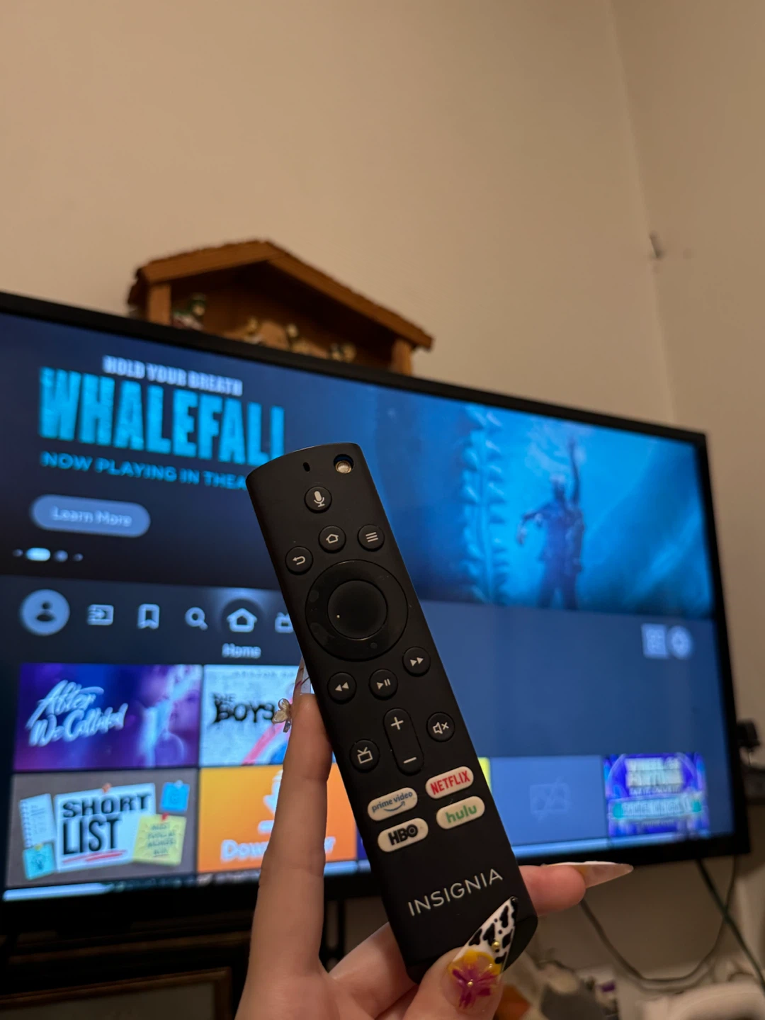 Fire TV Insignia Included
