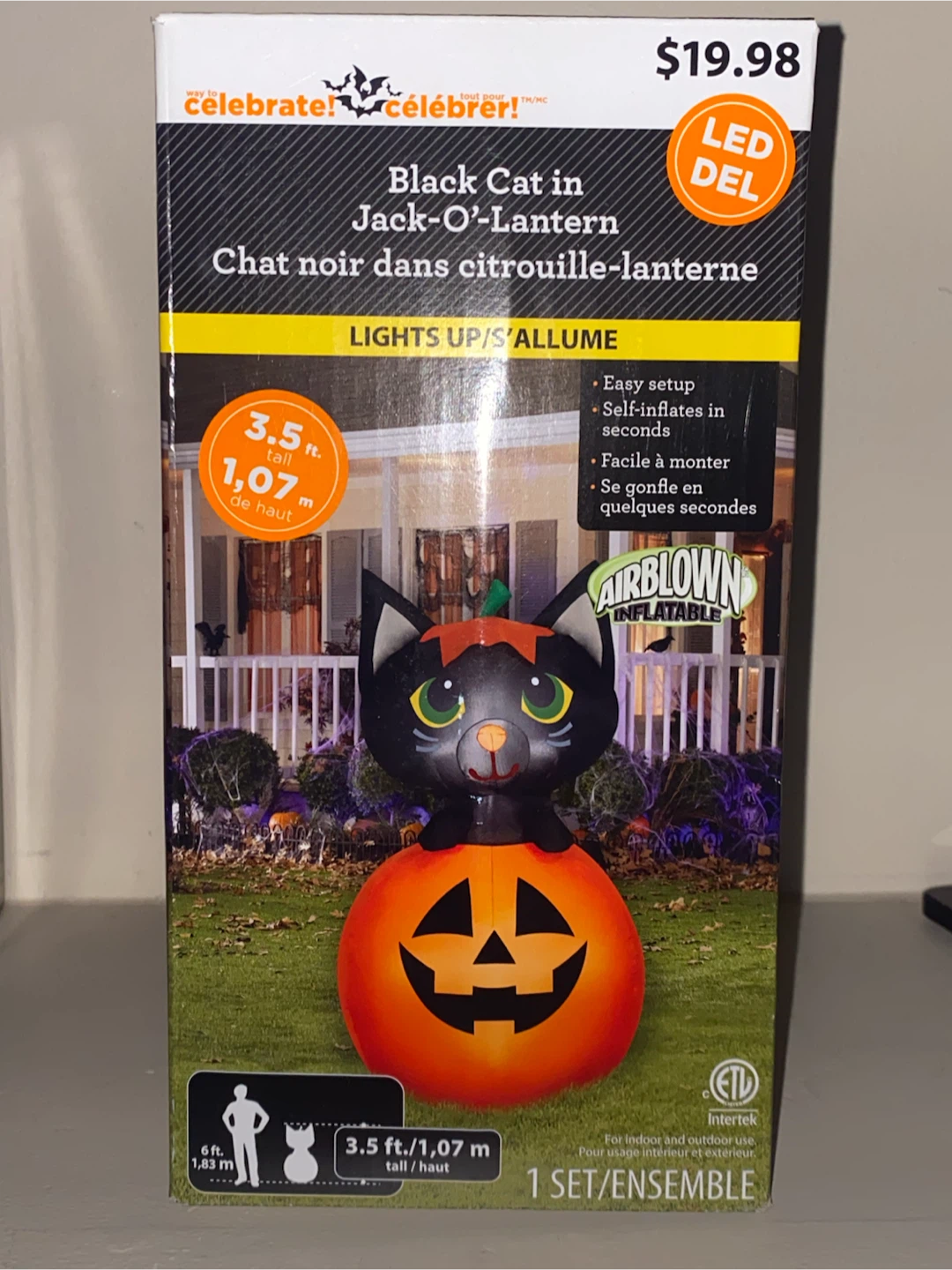 Way to Celebrate Black Cat in Jack-O-Lantern Inflatable