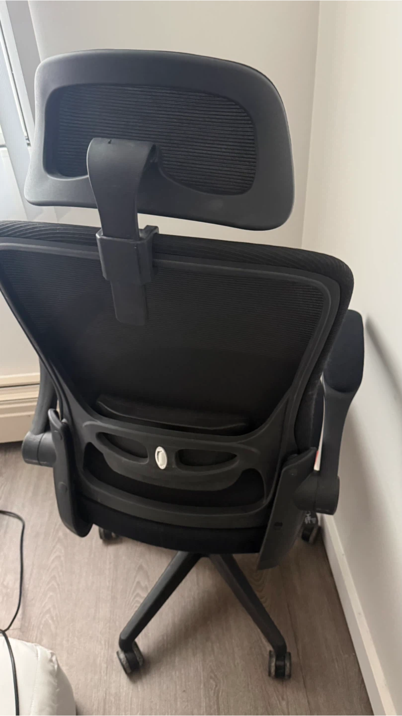 Black Ergonomic Mesh Office Chair