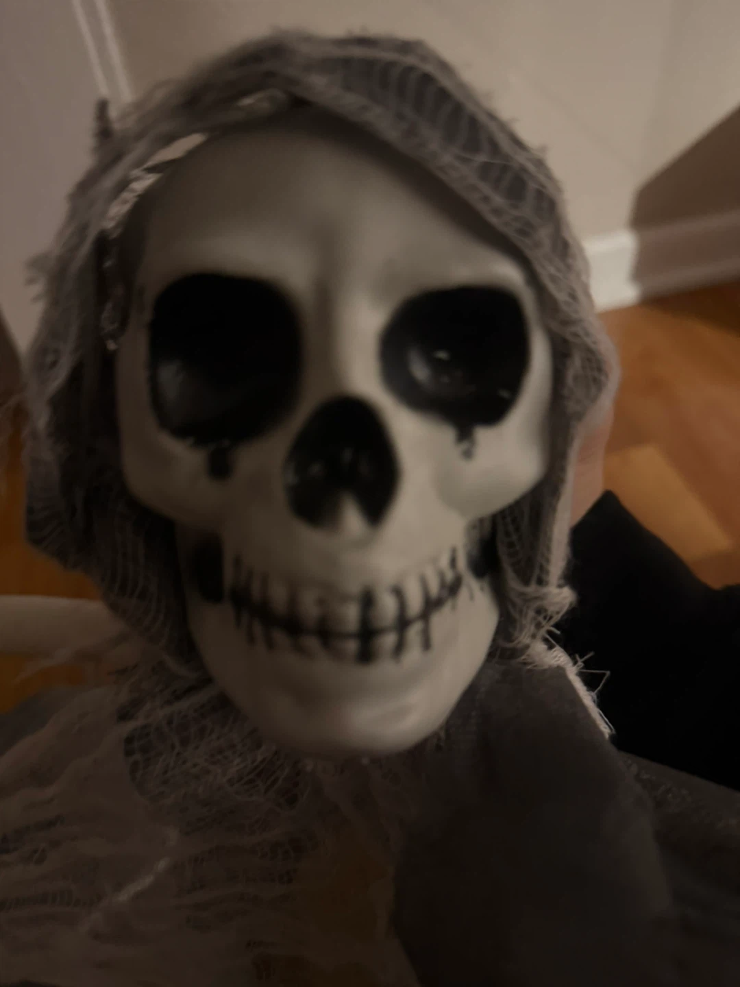 Halloween Skeleton Decoration