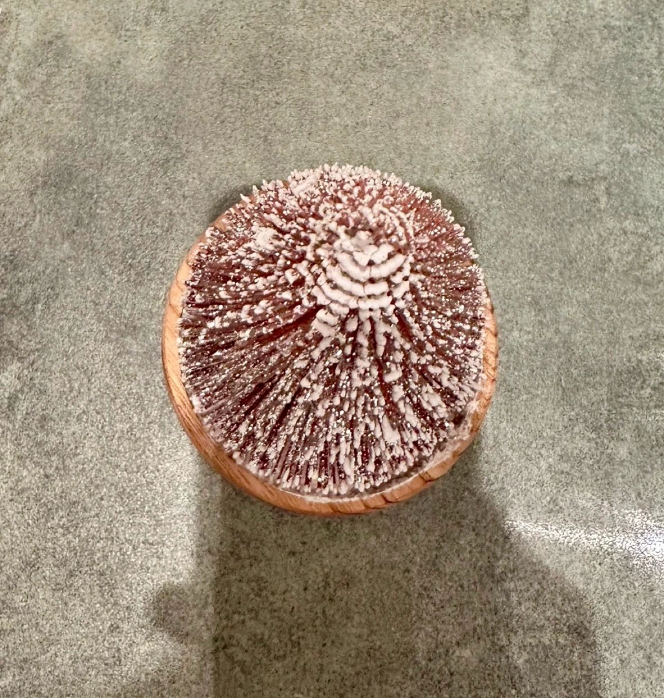 7” Small Table Christmas Tree Decor 🎄 - photo 4