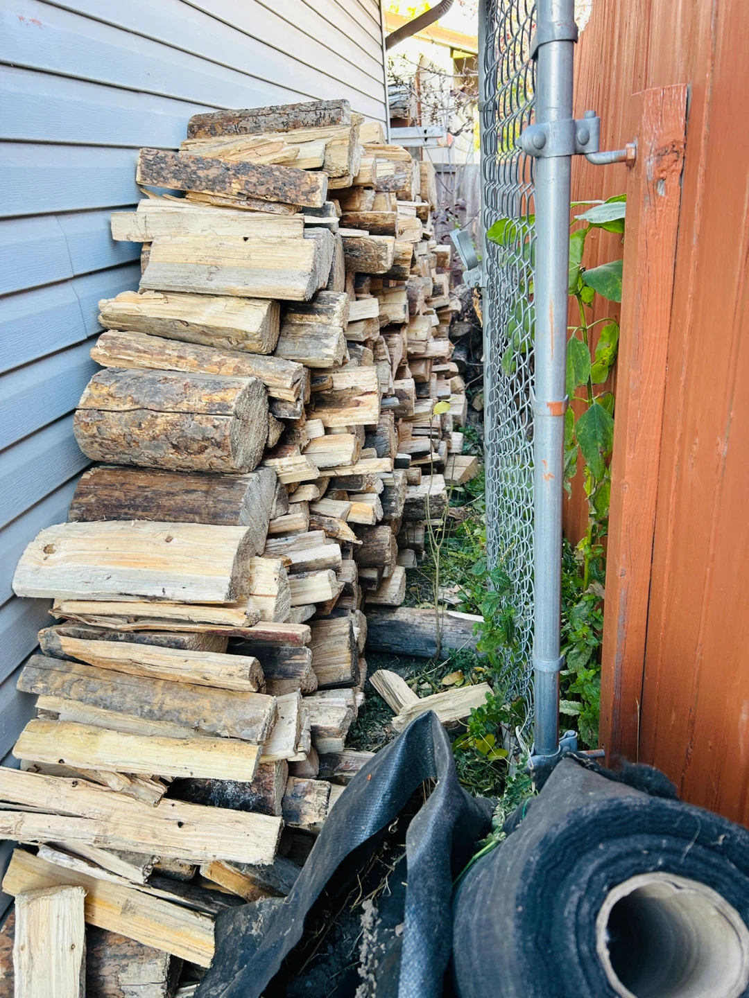 Seasoned firewood pile