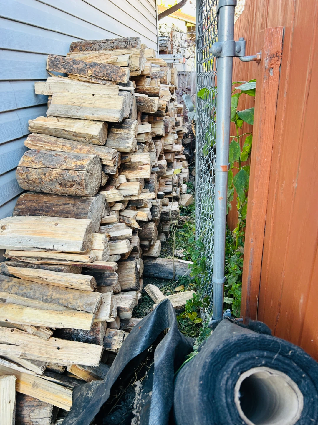 Seasoned firewood pile - photo 2