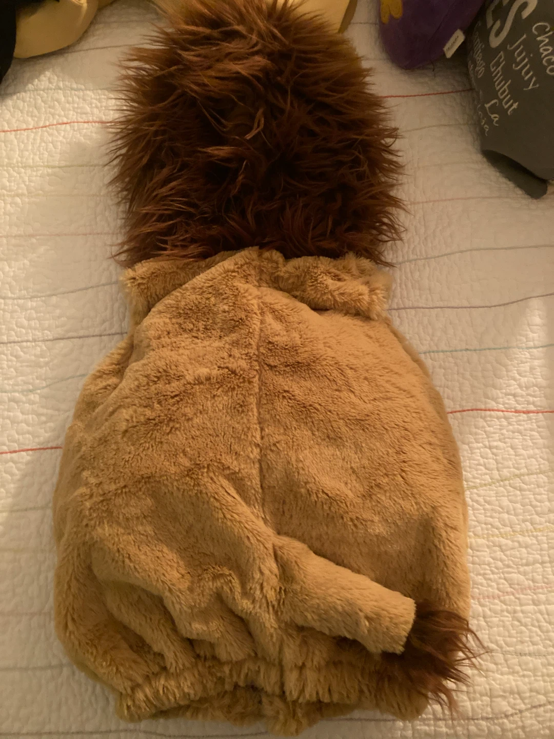 Going Wild Lion Costume Vest 12M - photo 3