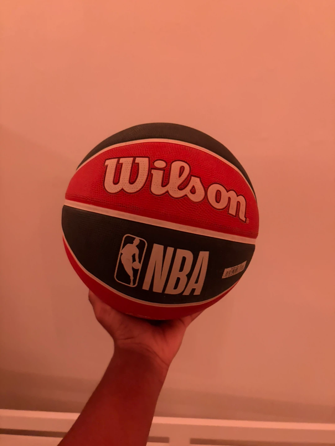 Wilson NBA Basketball