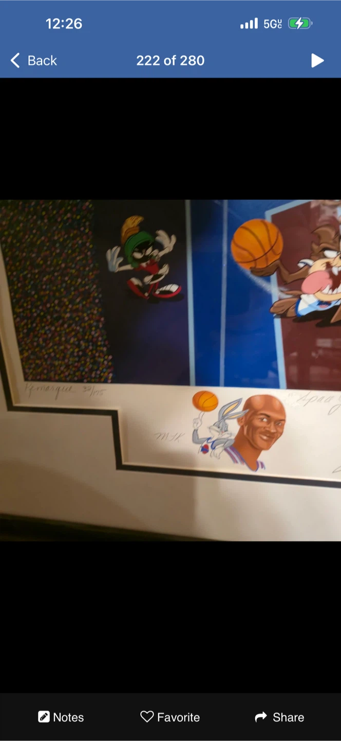 Michael Jordan Chicago Bulls Framed Signed - photo 3