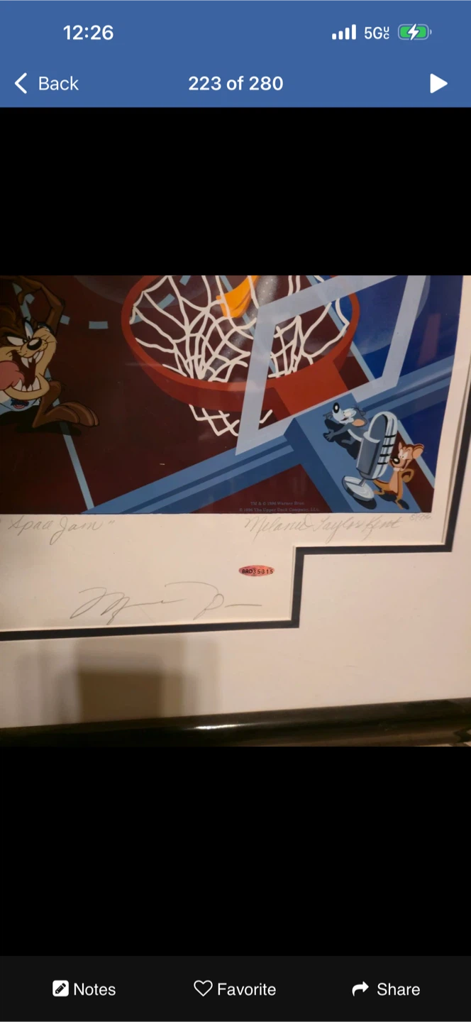 Michael Jordan Chicago Bulls Framed Signed - photo 4
