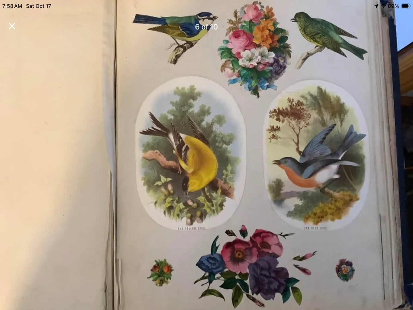 1869 Victorian Scrap Album 🐞 - photo 4