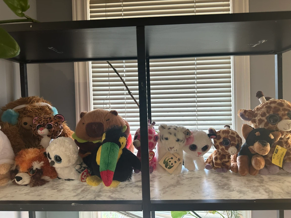 Assorted Beanie Boos Plush Toys