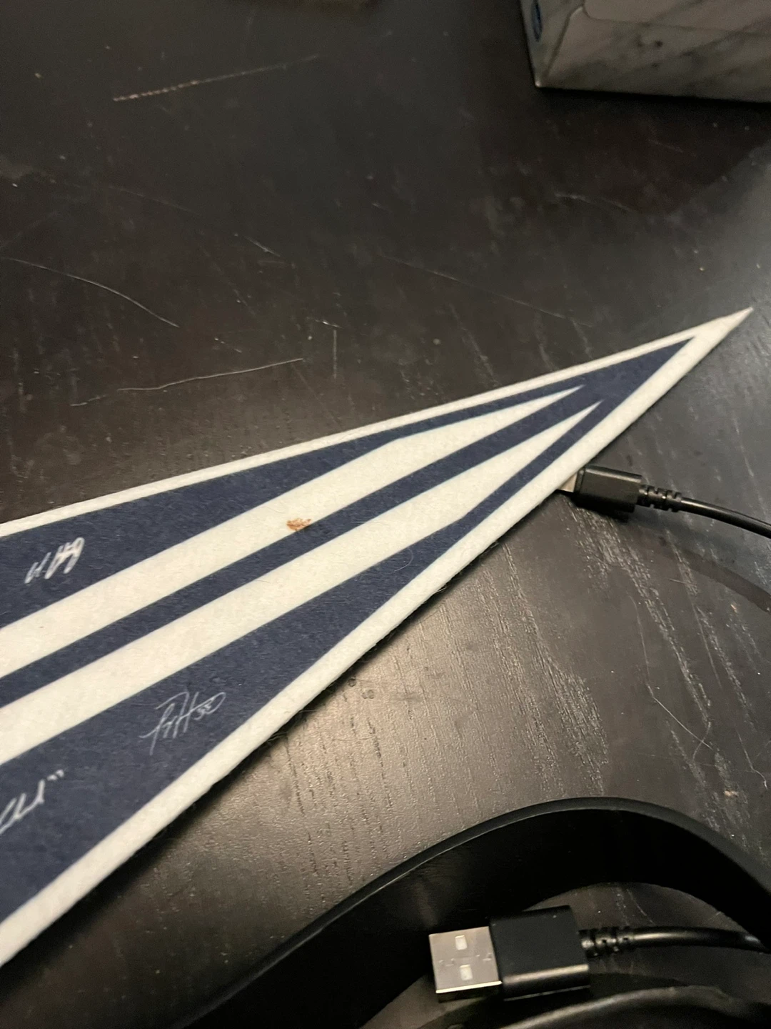 Toronto Blue Jays American League Champions Pennant - photo 2