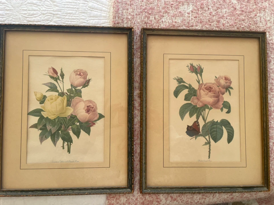 French Antique Floral botanical framed prints