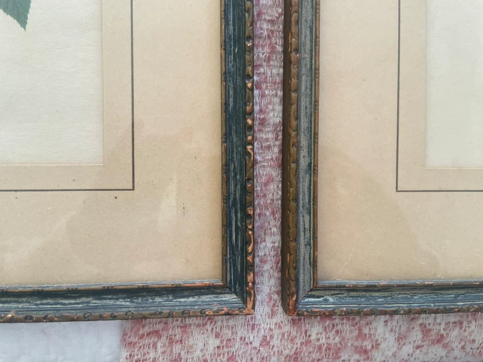 French Antique Floral botanical framed prints - photo 2