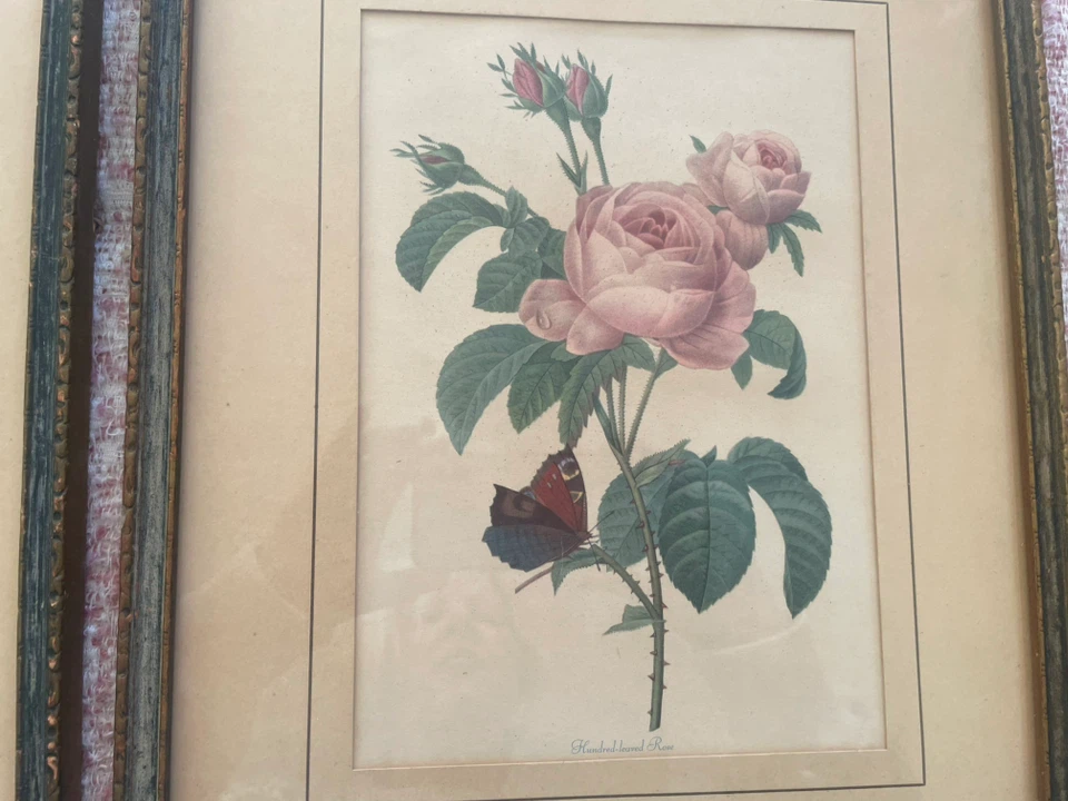 French Antique Floral botanical framed prints - photo 3