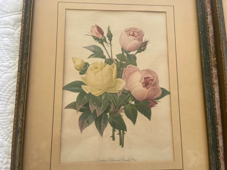 French Antique Floral botanical framed prints - photo 4