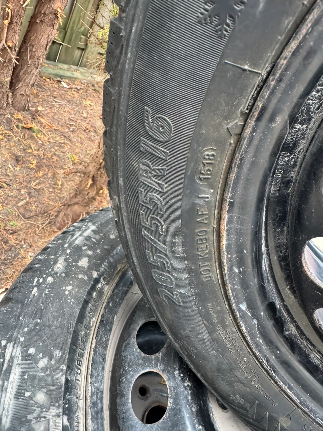 Dynamo 205/55R16 Winter Tires