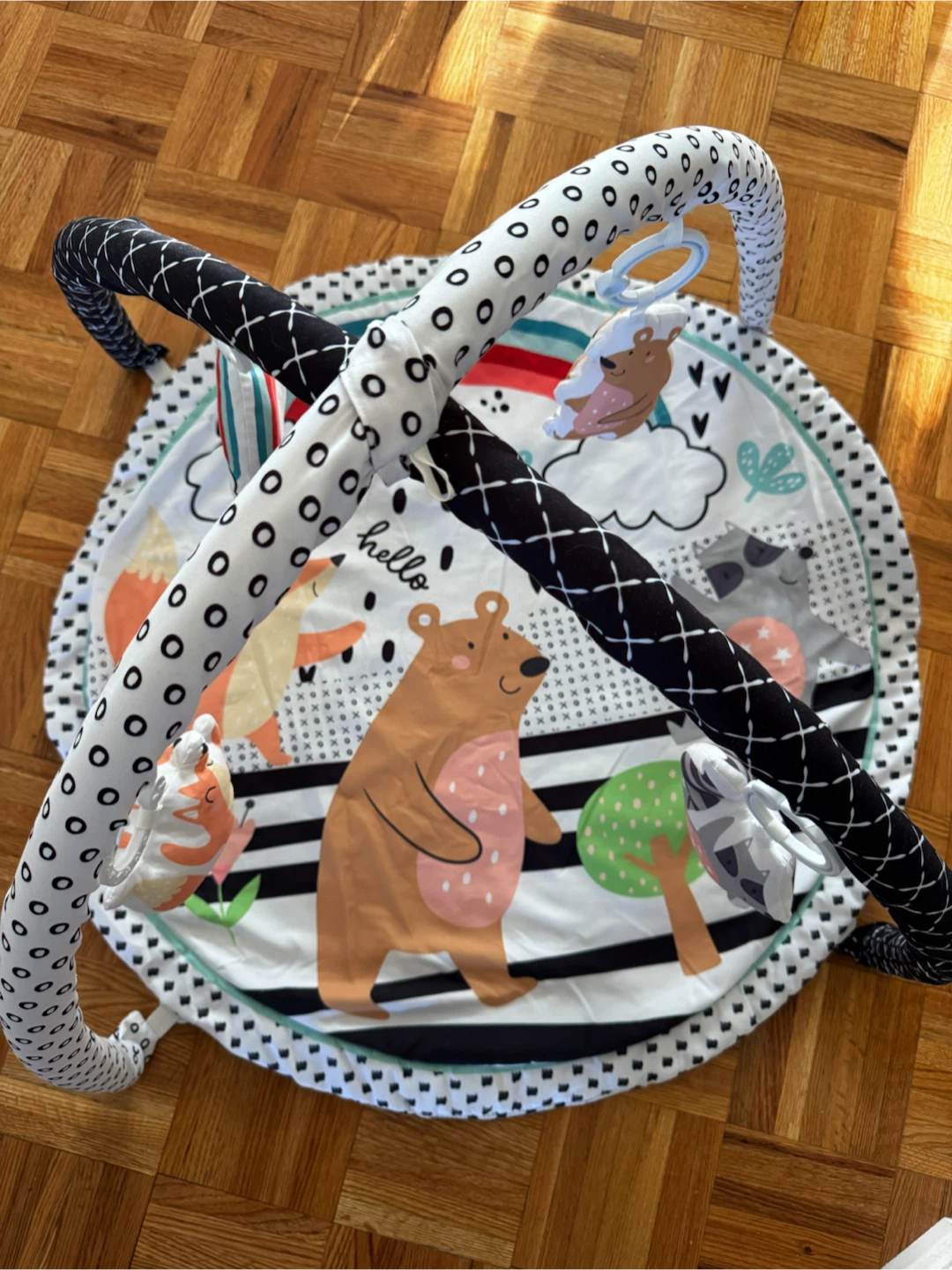 Baby Activity Gym Play Mat