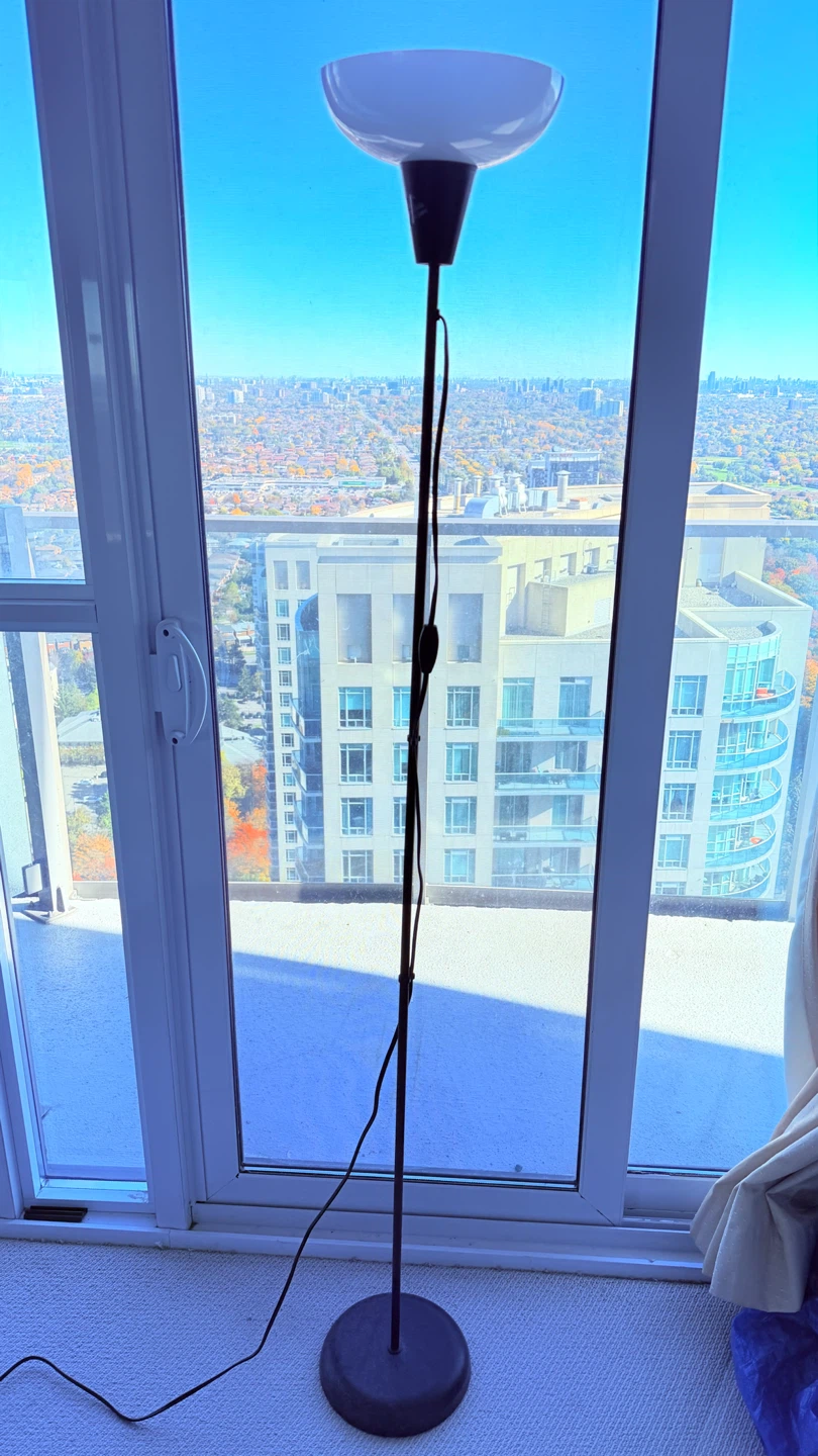Black Floor Lamp with white bulb