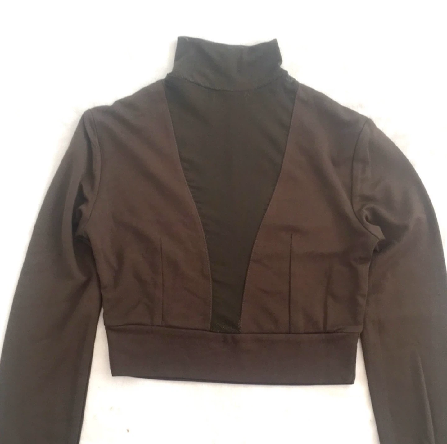 Aritzia Mock-Neck Long Sleeve Crop Top