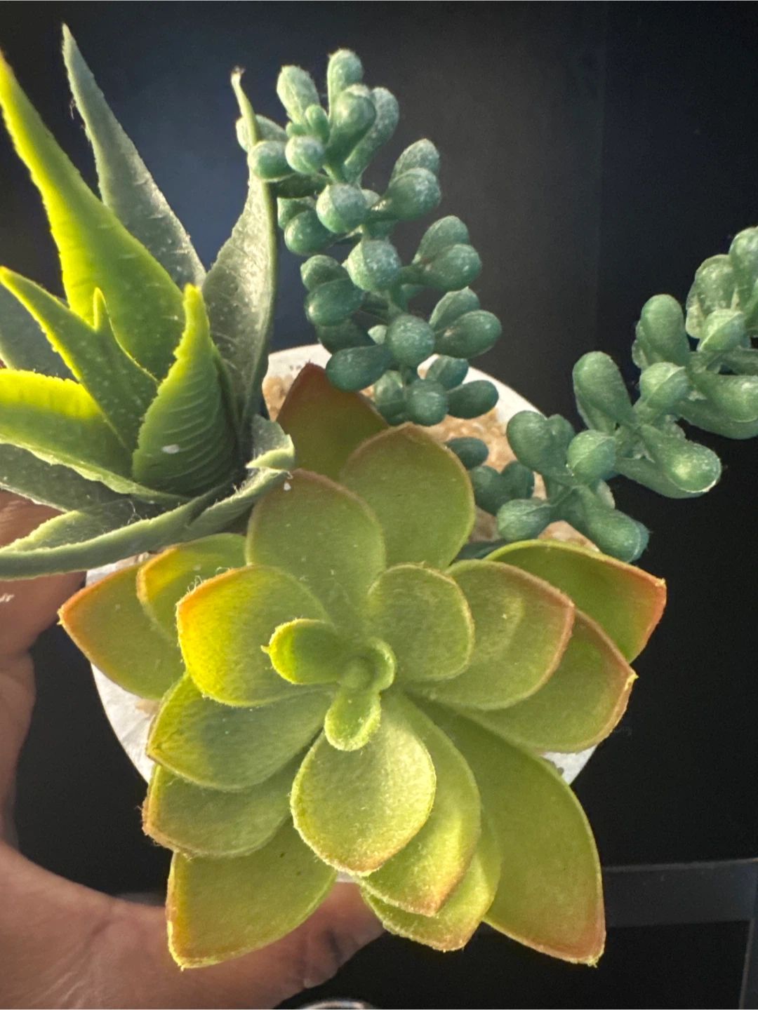 Artificial Succulent Arrangement - photo 2