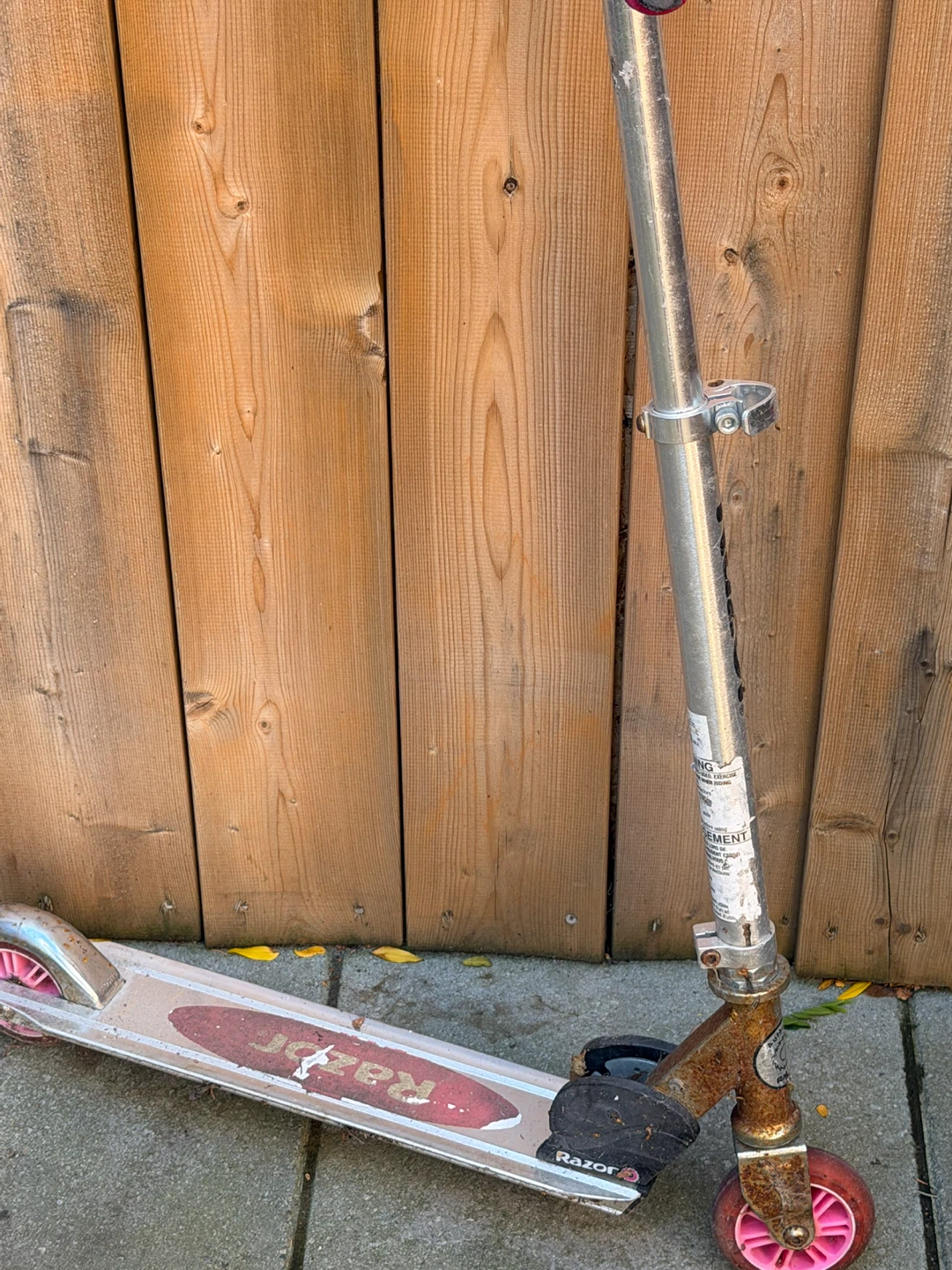 Razor Kick Scooter Silver with Pink Wheels