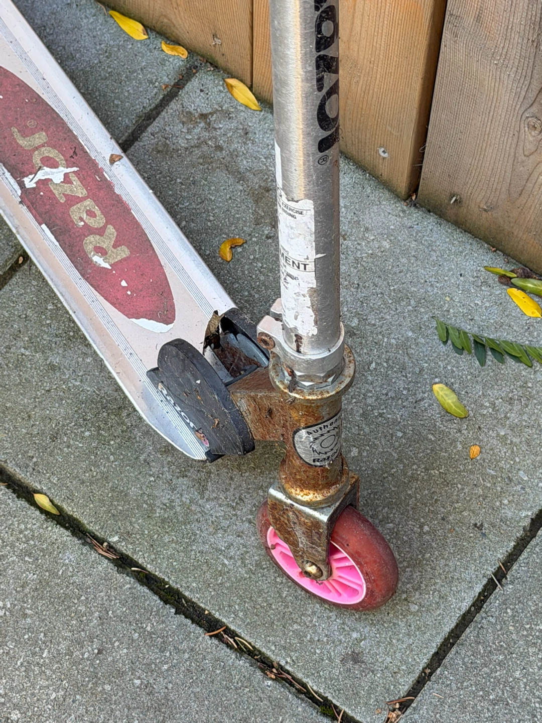 Razor Kick Scooter Silver with Pink Wheels - photo 3