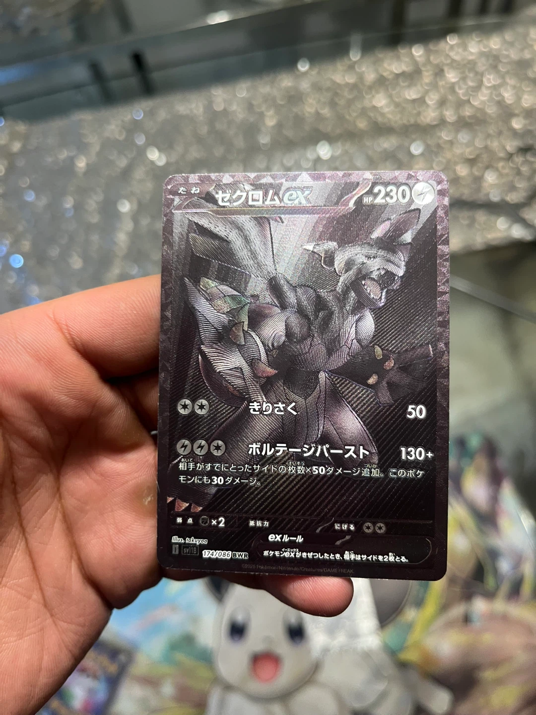 Pokemon Japanese Card Set - photo 5