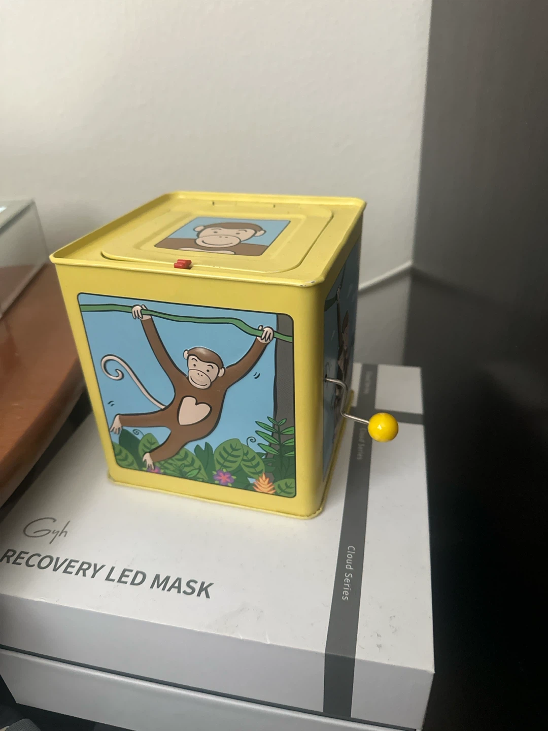Monkey Jack-in-the-Box Toy