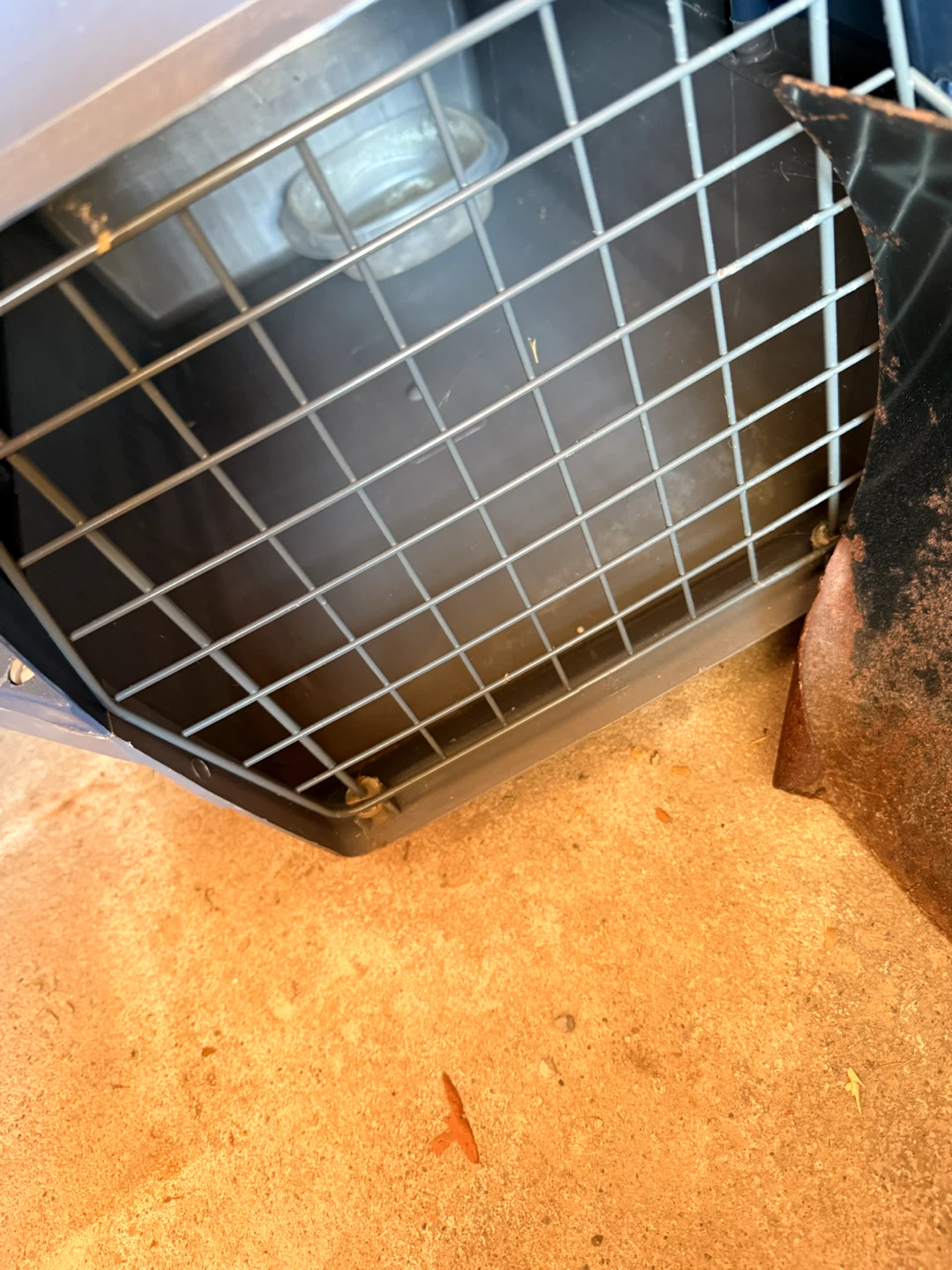 Cat or small dog carrier - photo 2
