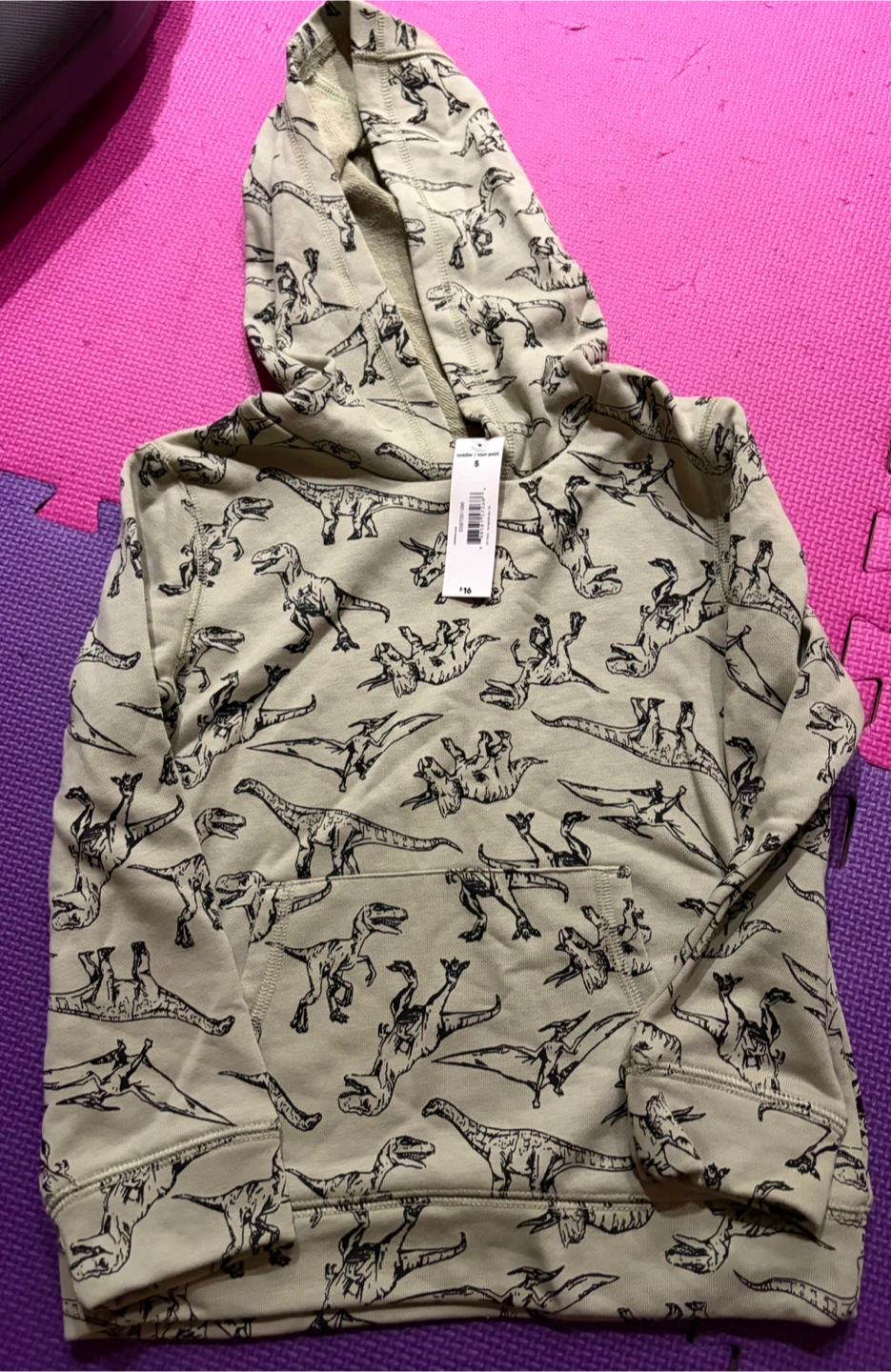 Kid Dinosaur Hoodie and Joggers Set - Size 5