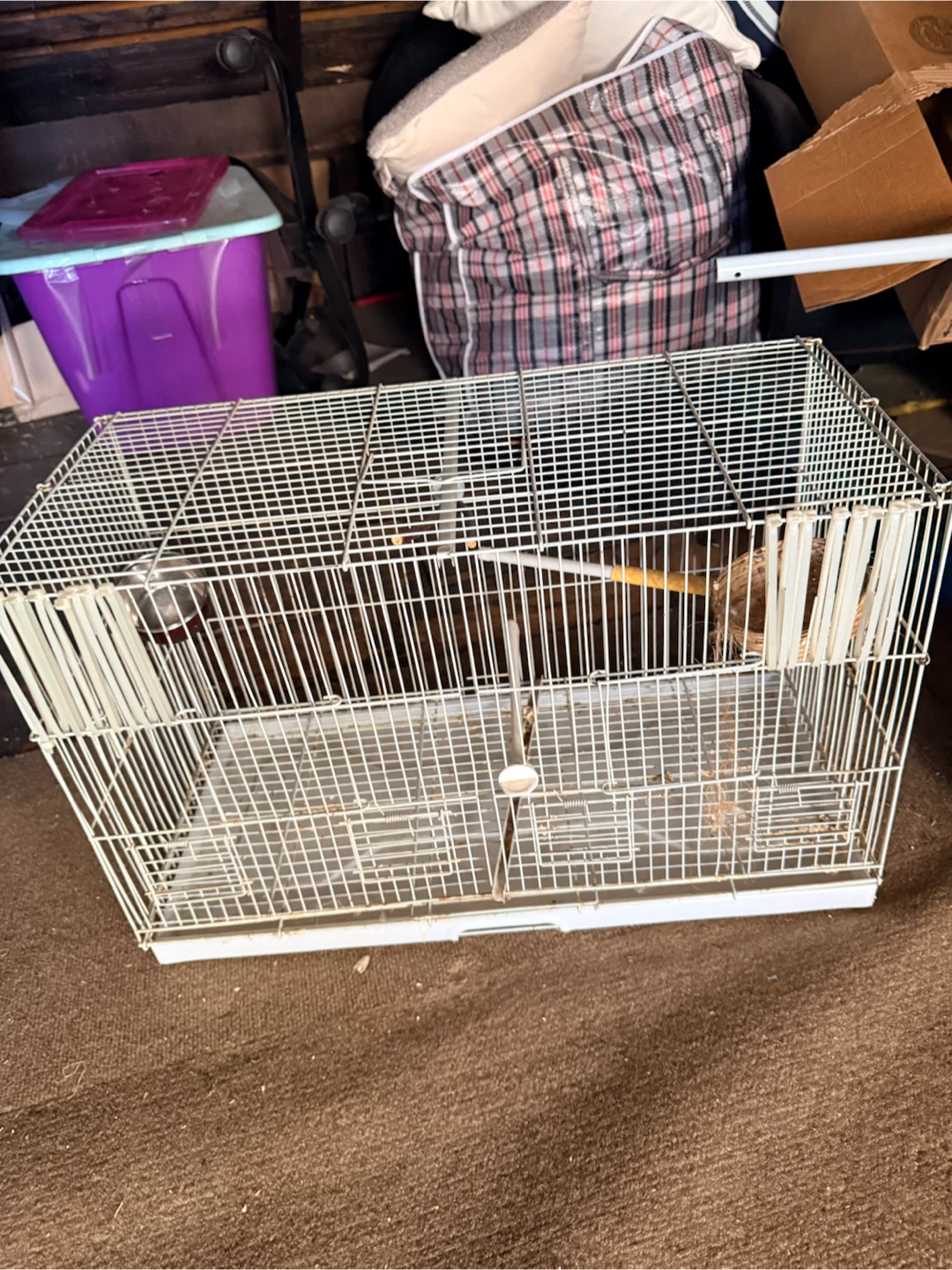 Metal Wire Bird Cage