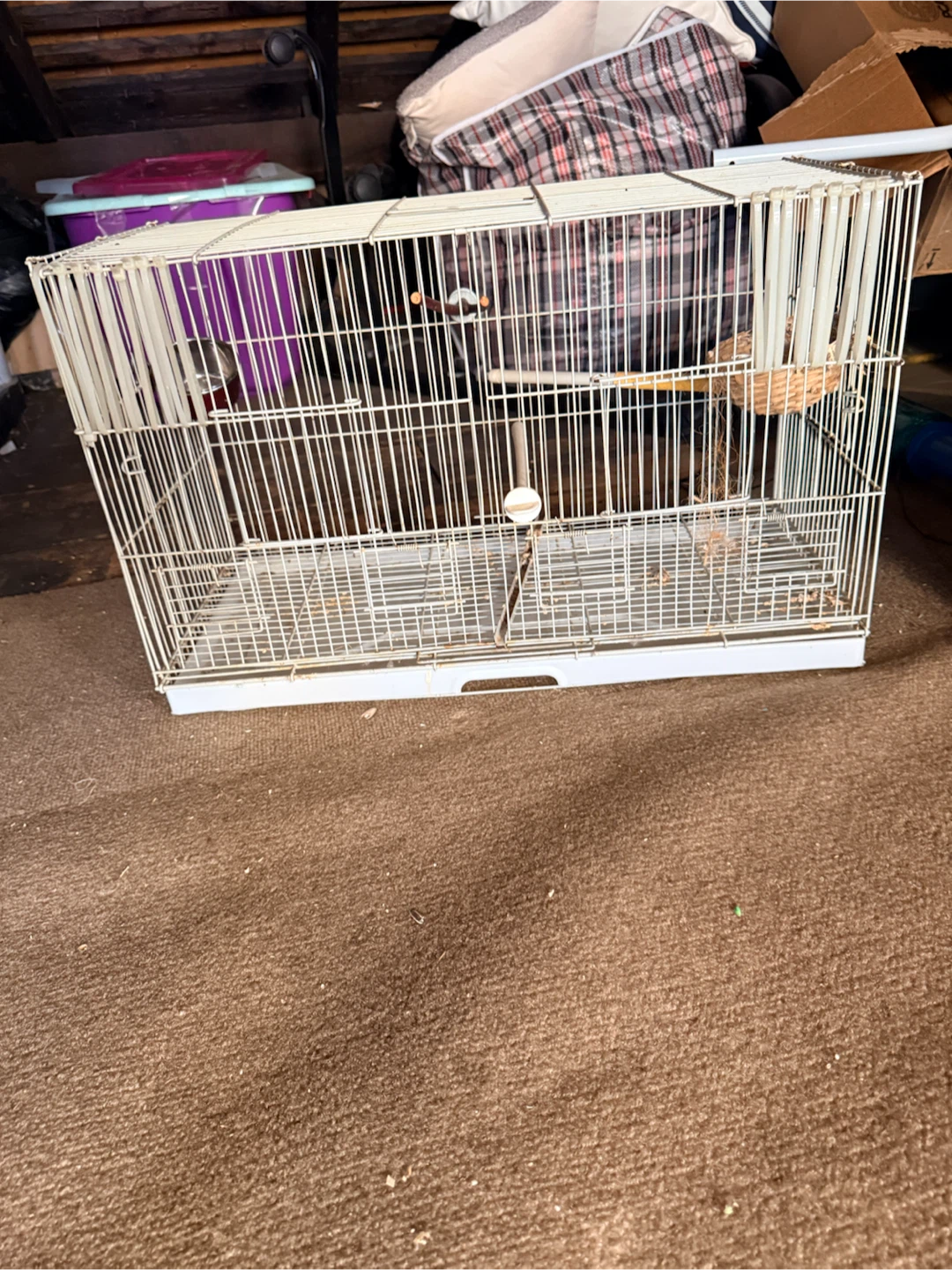 White Wire Bird Cage