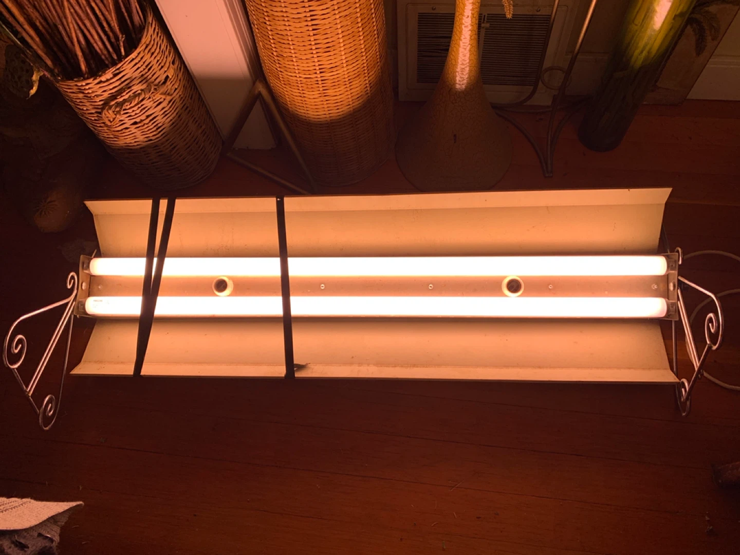 Vintage 48-Inch Fluorescent Grow Light with extra bulbs.