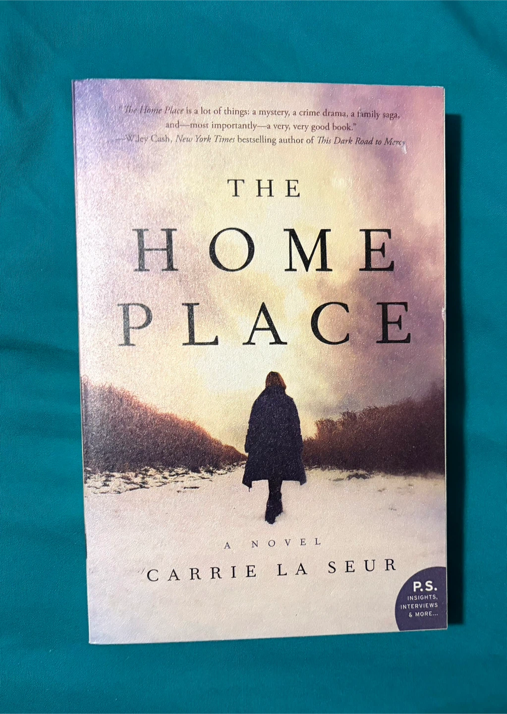 The Home Place by Carrie La Seur