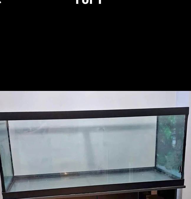 Reptile terrarium and heating bulbs