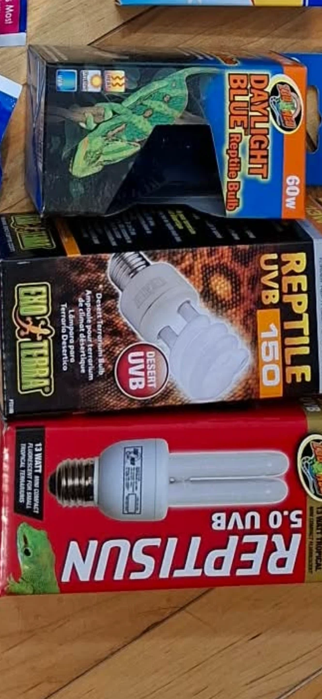 Reptile terrarium and heating bulbs - photo 2