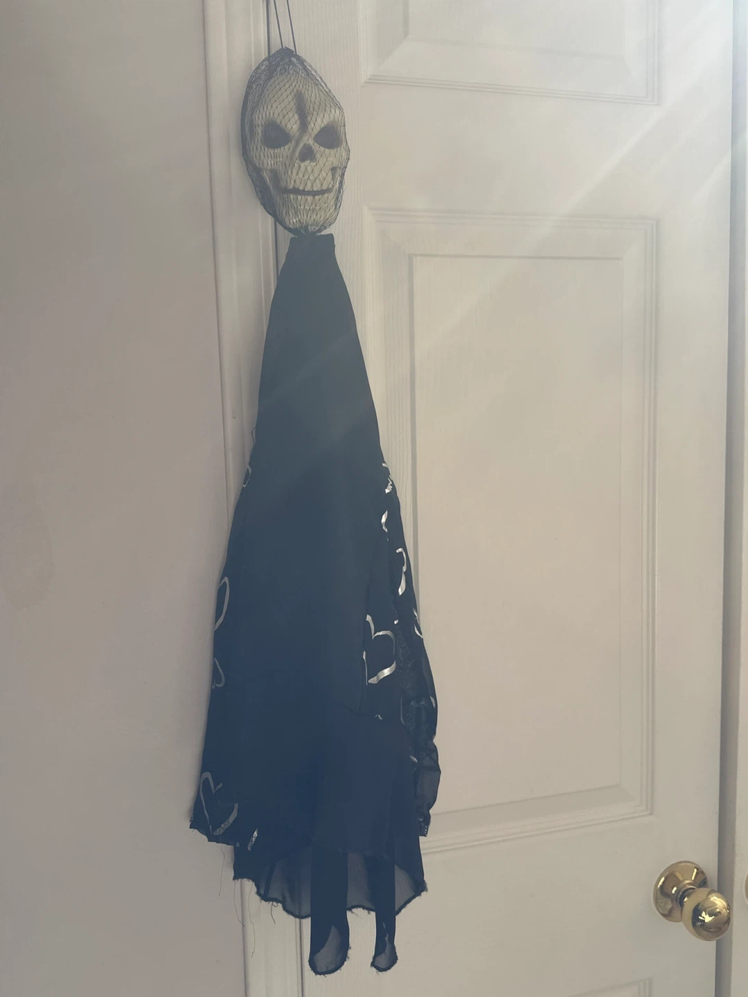 Hanging Skull Halloween Decoration and 2 more skulls